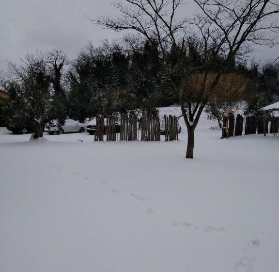 בית מלון כפרי Agriturismo L'isola