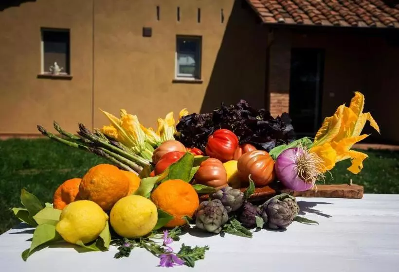 ホテル Agriturismo L'isola