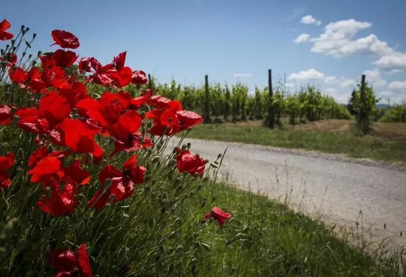 ホテル Agriturismo L'isola