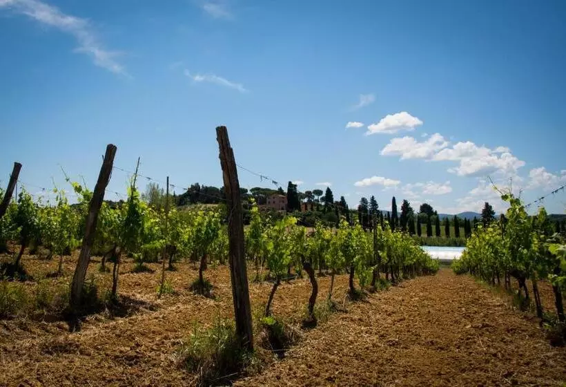 ホテル Agriturismo L'isola
