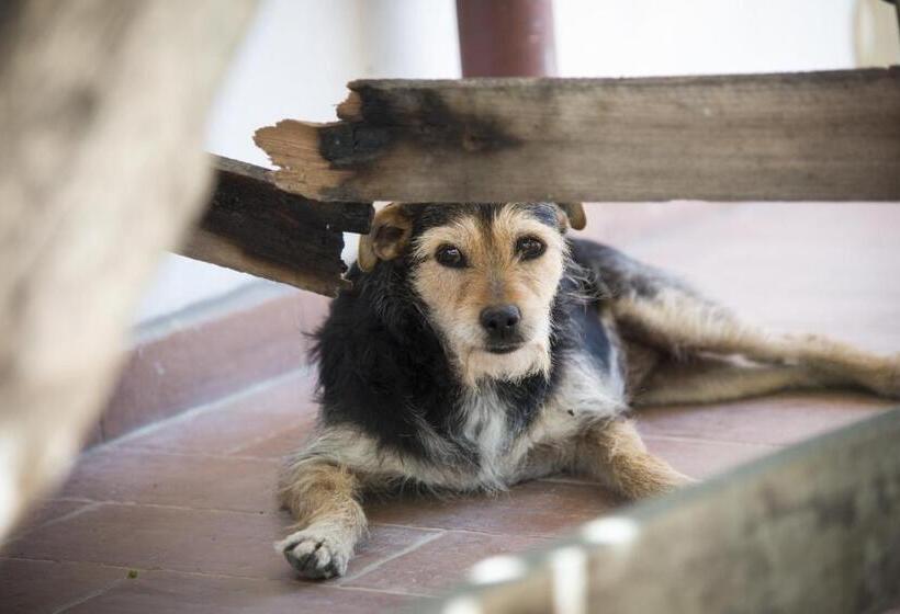 בית מלון כפרי Agriturismo L'isola