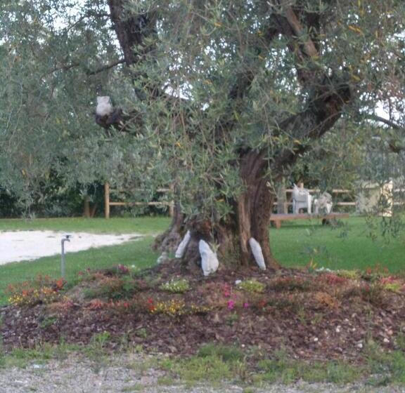 בית מלון כפרי Agriturismo L'isola