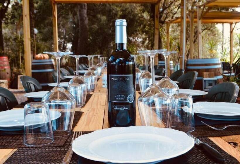 בית מלון כפרי Agriturismo Poggio Ciliegio