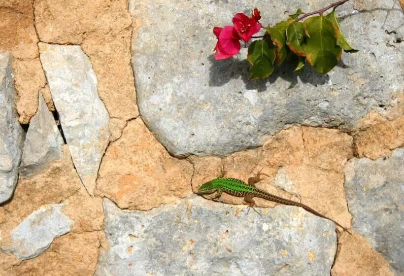 Hotelli Agriturismo Spirdo
