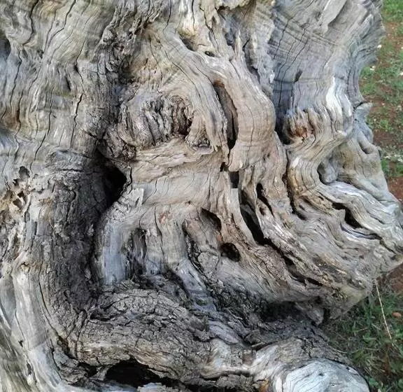 Hotelli Agriturismo Spirdo