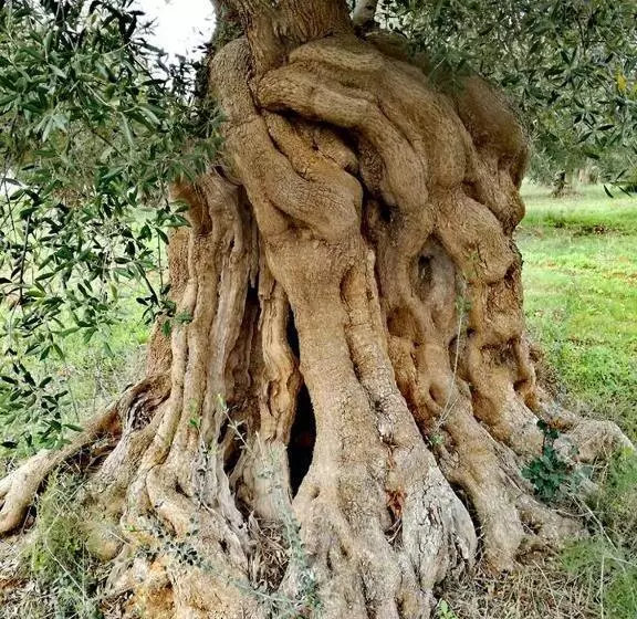 Hotelli Agriturismo Spirdo