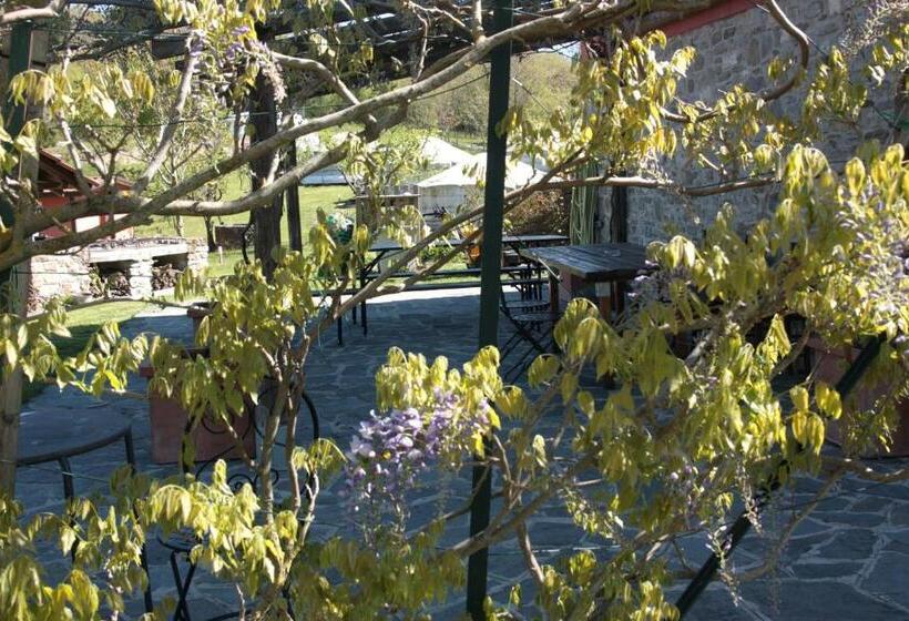 酒店 Società Agricola Cacigolara