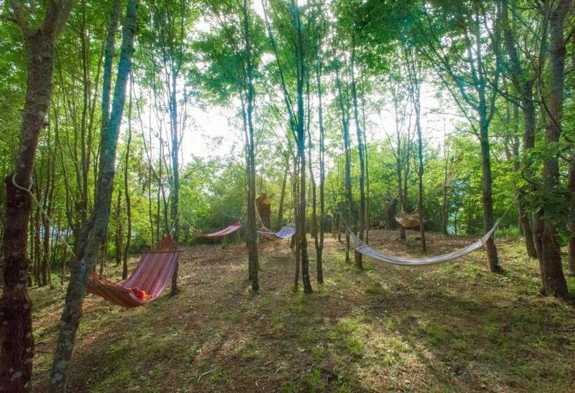 酒店 Società Agricola Cacigolara