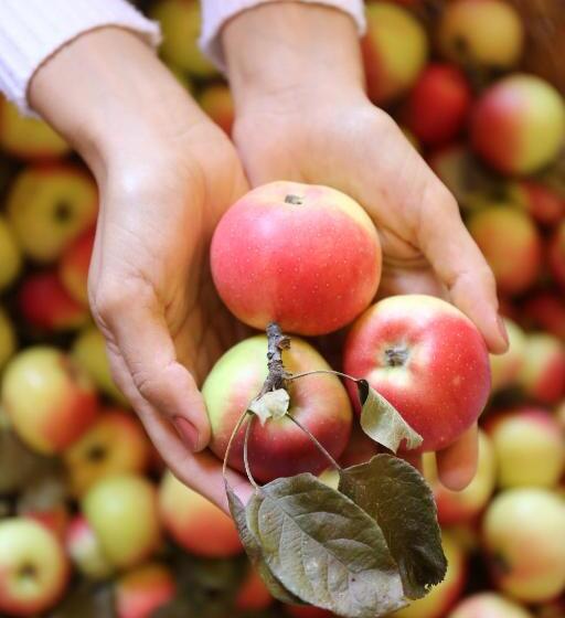 酒店 Società Agricola Cacigolara