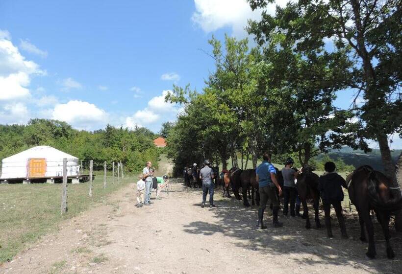 酒店 Società Agricola Cacigolara