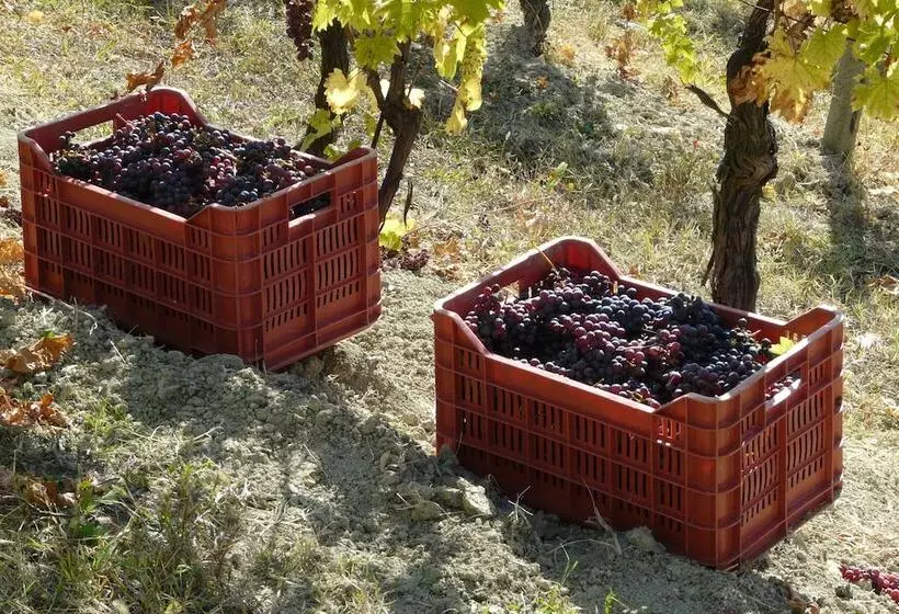 Hotelli Tenuta Tenaglia