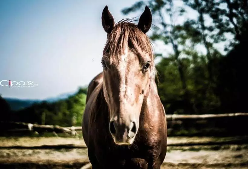 ホテル Agriturismo Cascina Del Vai