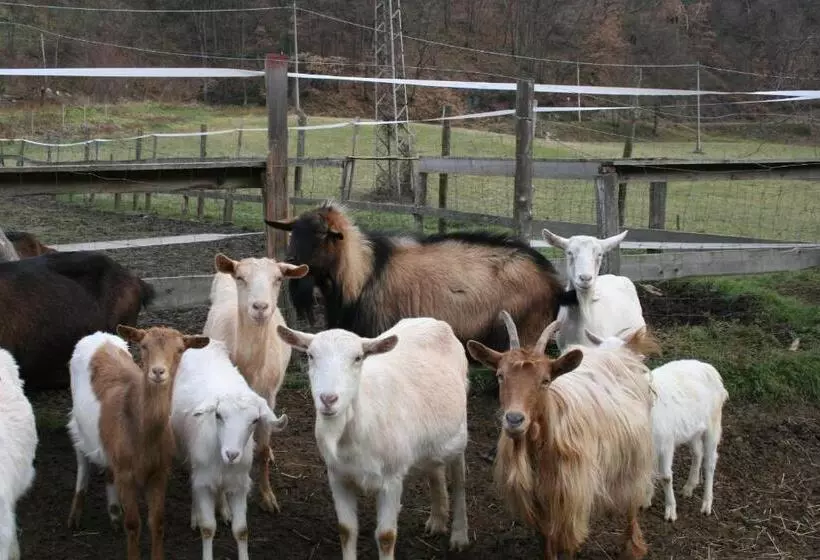 ホテル Agriturismo Cascina Del Vai