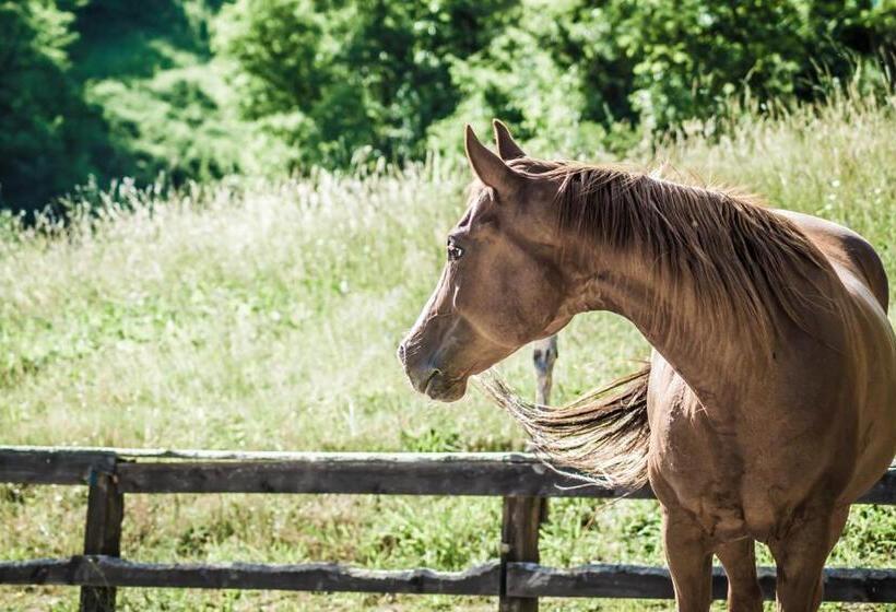 호텔 Agriturismo Cascina Del Vai