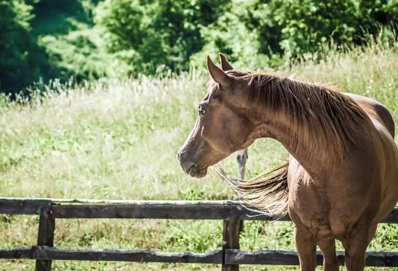 ホテル Agriturismo Cascina Del Vai