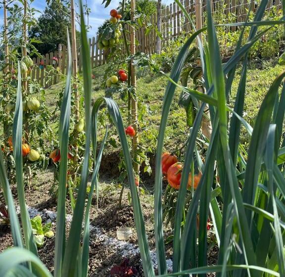 هتل Agriturismo San Lorenzo Di Persegno