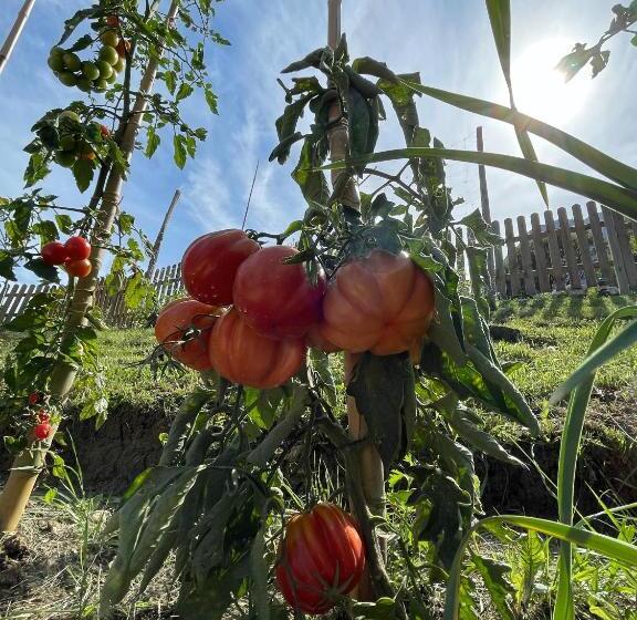 هتل Agriturismo San Lorenzo Di Persegno