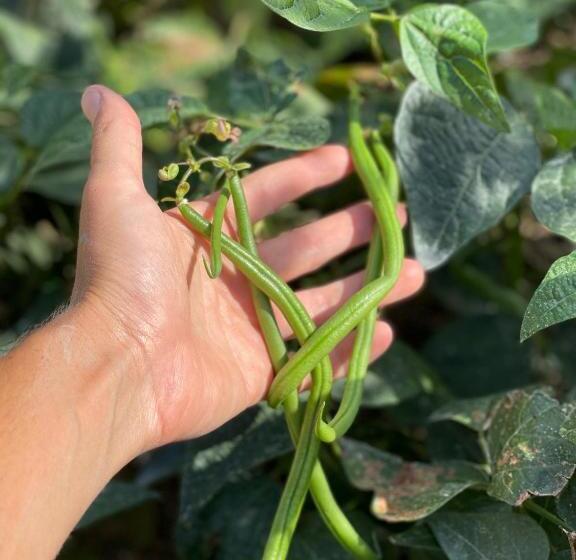 هتل Agriturismo San Lorenzo Di Persegno