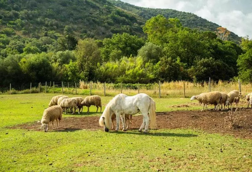 Hotelli Antica Fattoria La Parrina