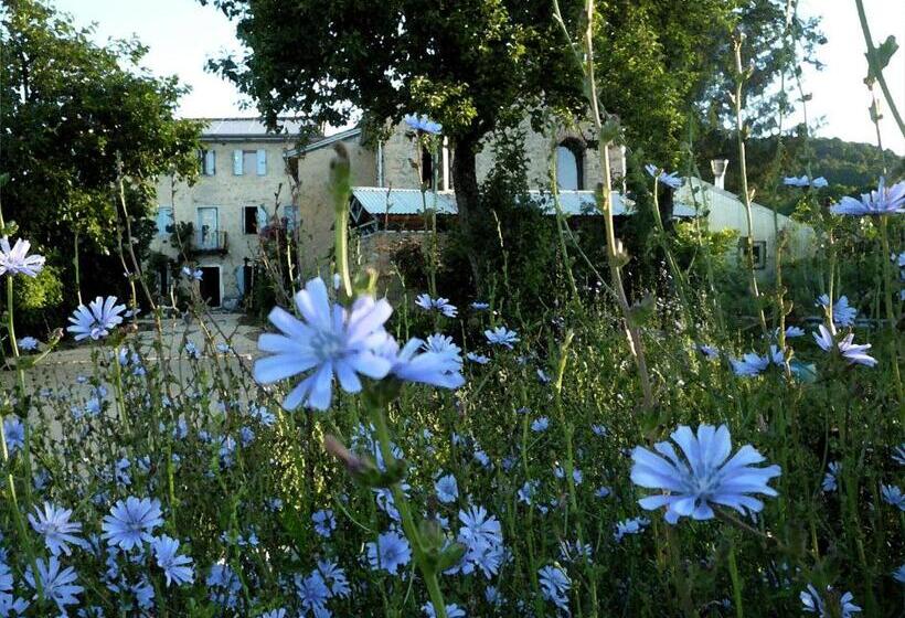 Отель Casadesergio