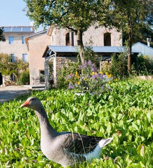 Отель Casadesergio