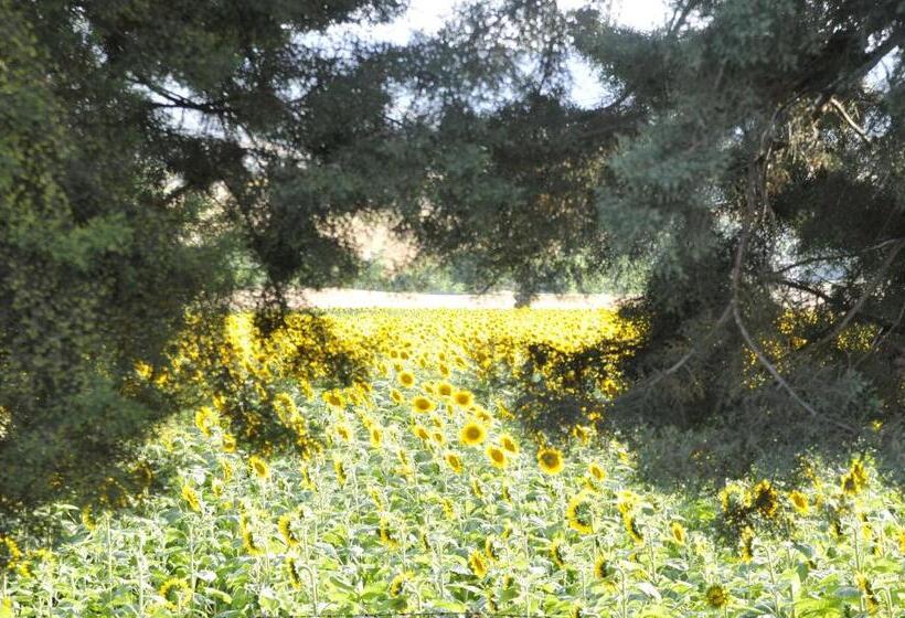 호텔 Country House Binnella