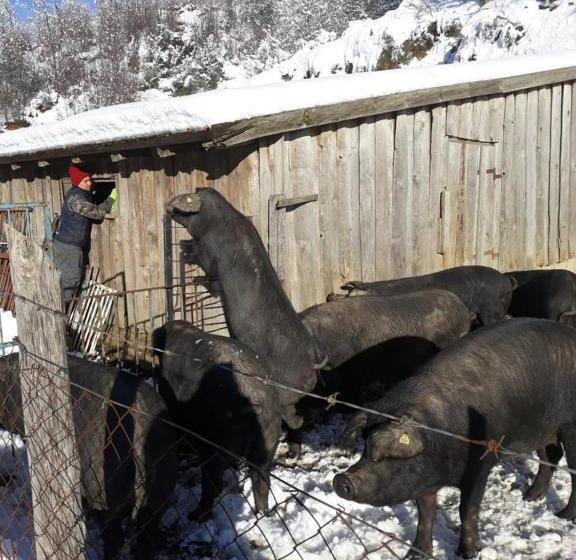 Отель La Locanda Del Poeta