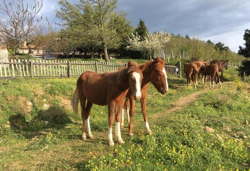 Отель La Locanda Del Poeta