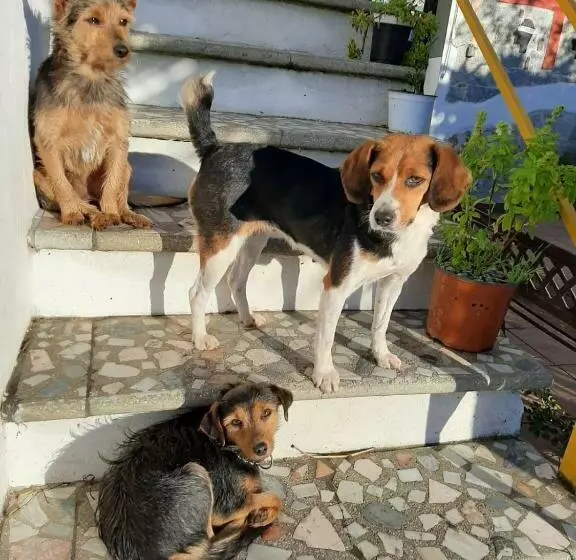 ホテル S Imbragu Farm B&b