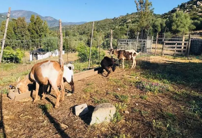 ホテル S Imbragu Farm B&b