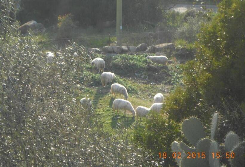 فندق S Imbragu Farm B&b