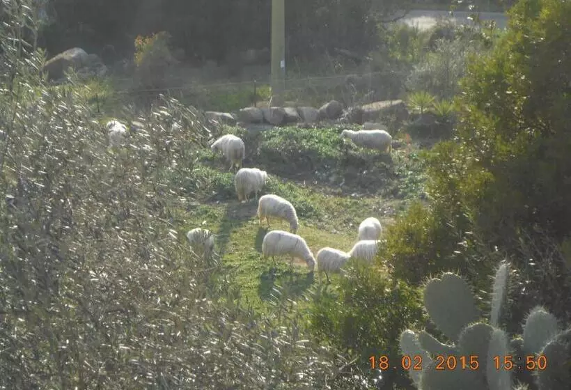 ホテル S Imbragu Farm B&b