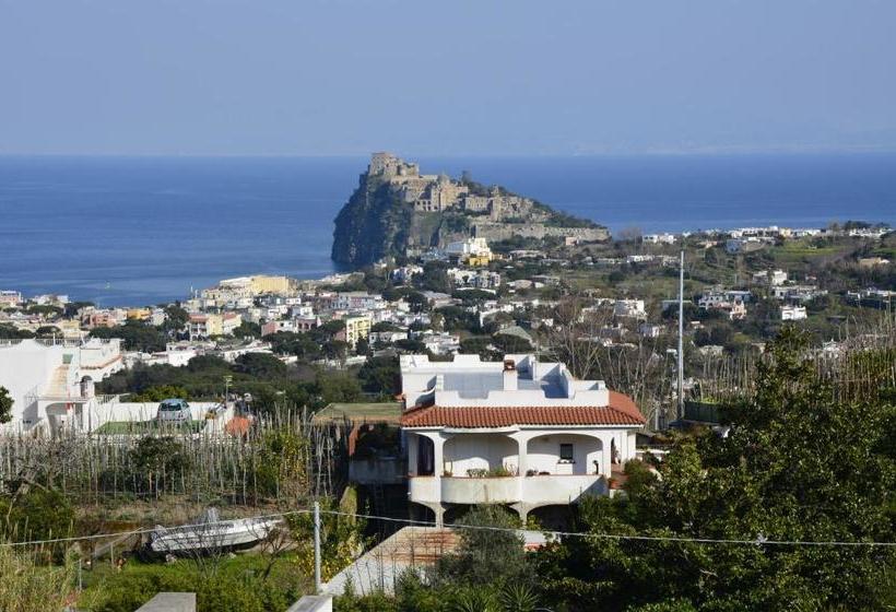 پانسیون U Campagnuolo