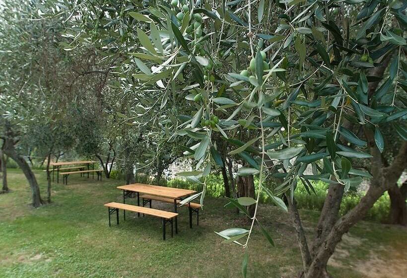 호텔 Agriturismo Buranco