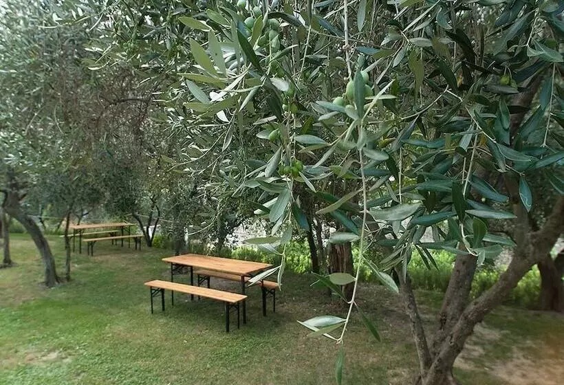 ホテル Agriturismo Buranco