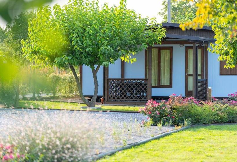 בית מלון כפרי Agriturismo E Agricamping Le Nosare