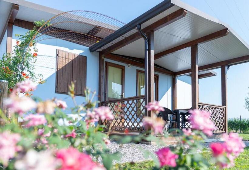 בית מלון כפרי Agriturismo E Agricamping Le Nosare