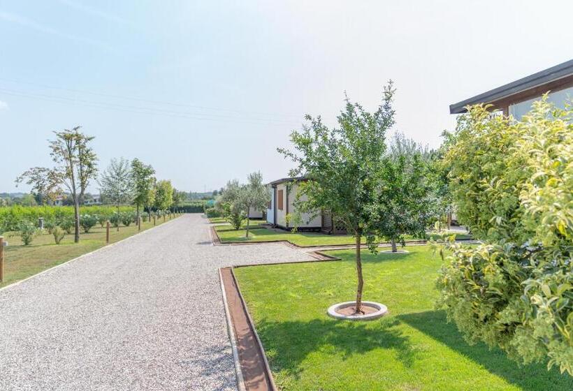 בית מלון כפרי Agriturismo E Agricamping Le Nosare