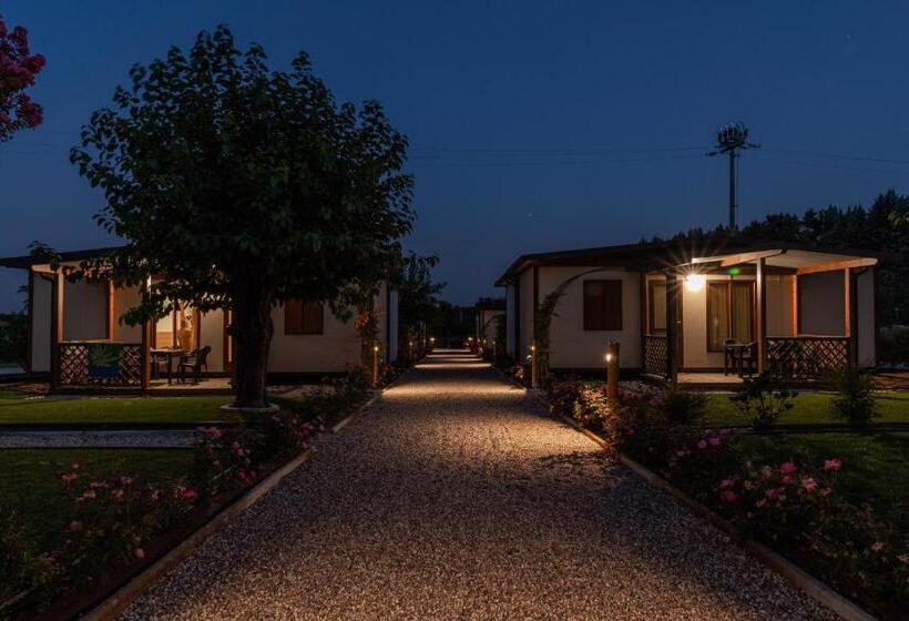 בית מלון כפרי Agriturismo E Agricamping Le Nosare