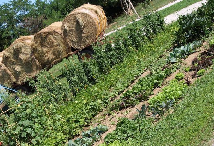 هتل Agriturismo Gon