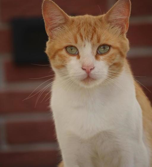 هتل Agriturismo Gon