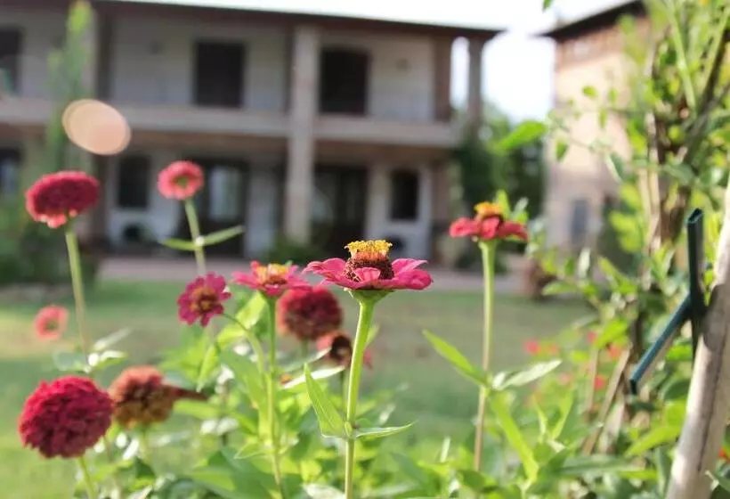 هتل Il Ghiandolino