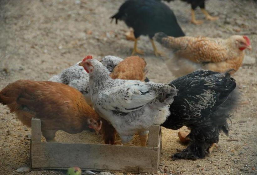 Hotelli La Foce Del Prato