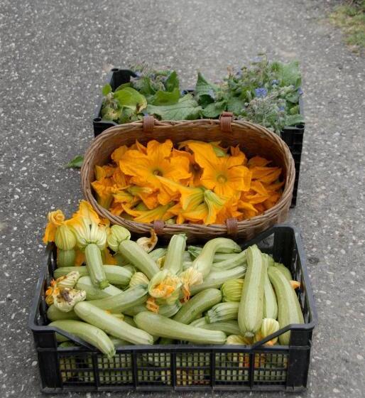 Hotelli La Foce Del Prato