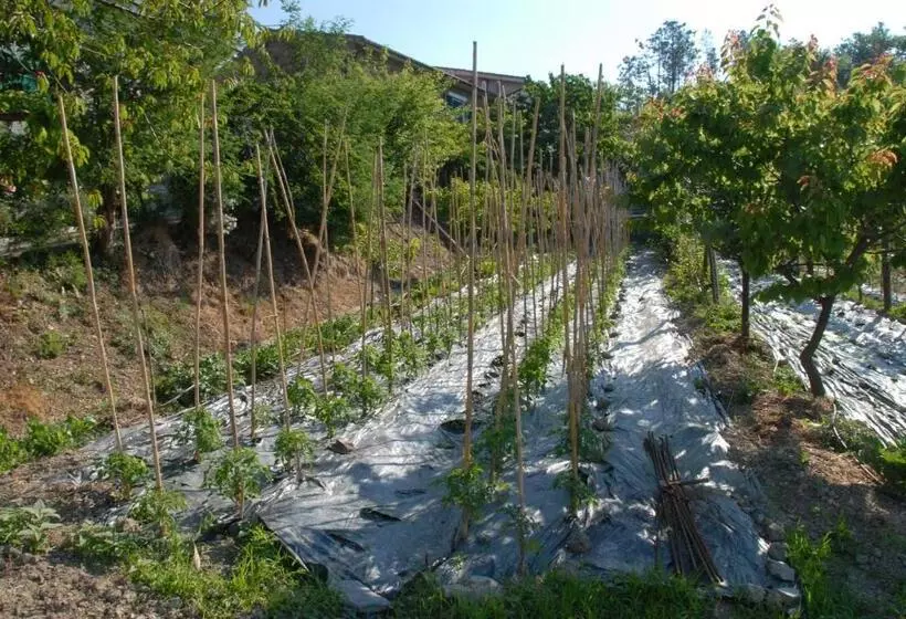Hotelli La Foce Del Prato