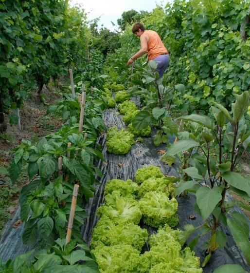 Hotelli La Foce Del Prato