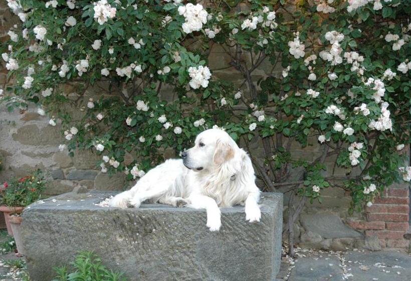 בית מלון כפרי Locanda Casanuova