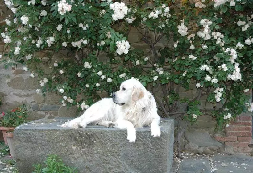 Hotelli Locanda Casanuova