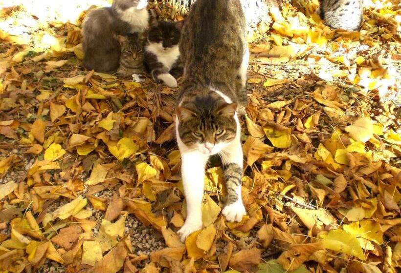 Отель Valle Degli Arci