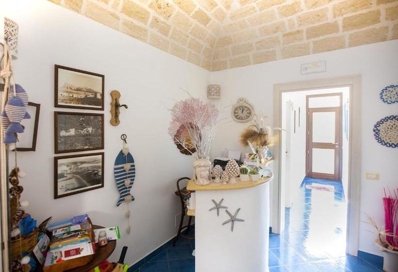 بنسيون A  Cavalera